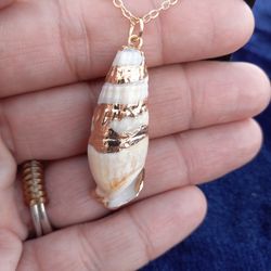 Natural Shell Necklace 