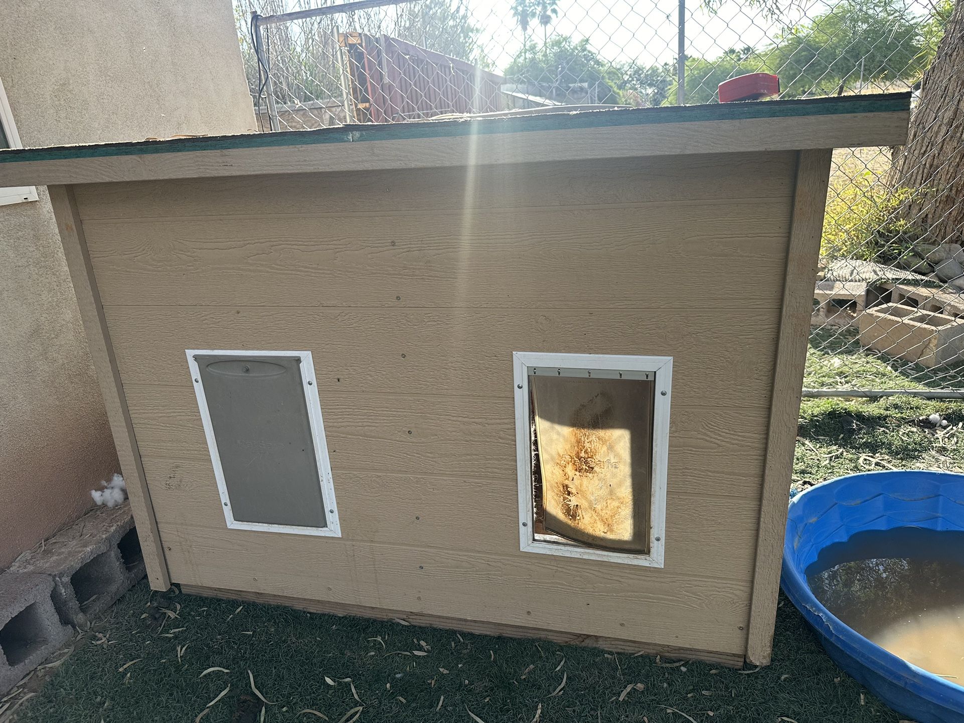Dog House