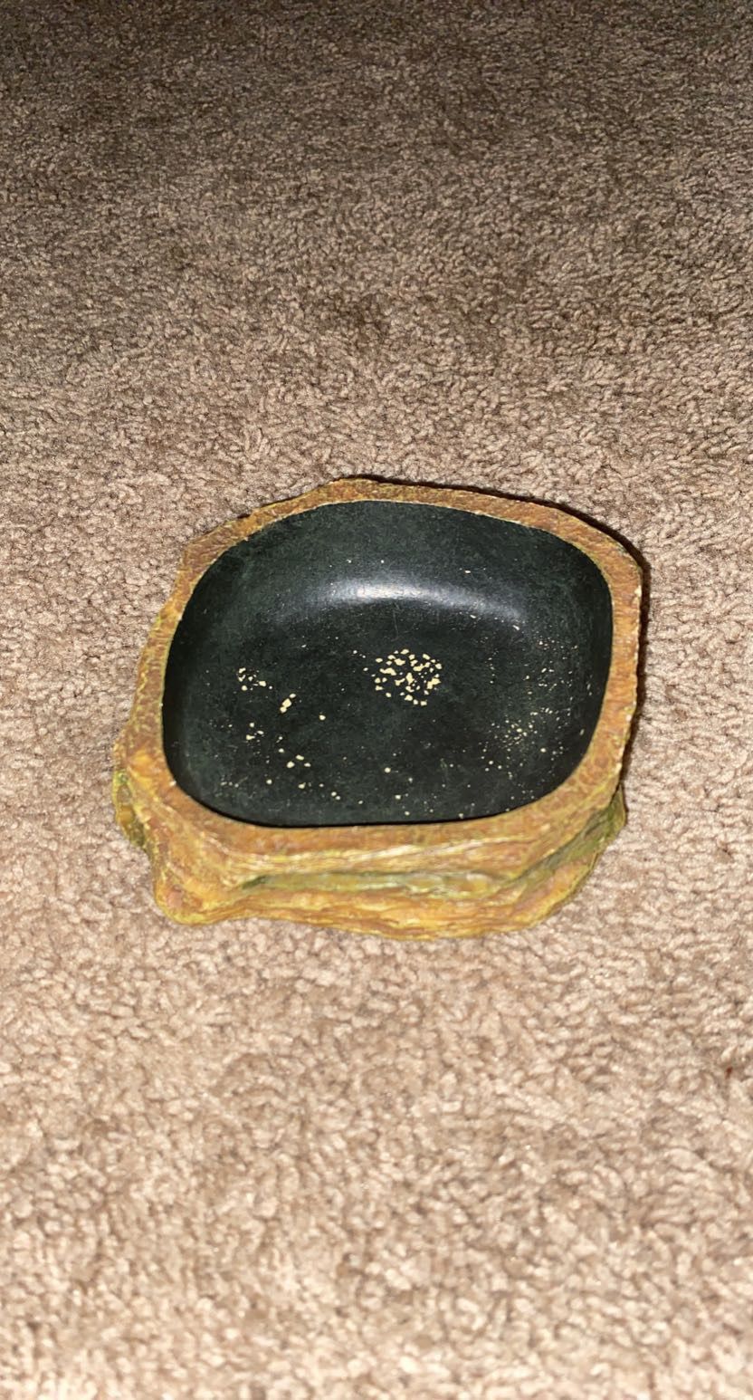 Food bowl or Water Dish for Reptiles