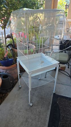 Bird Cage