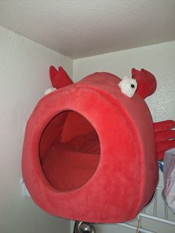 Pet bed