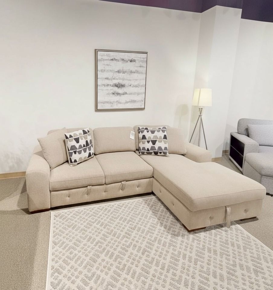 Sectional with Pull Out Bed With Storage 