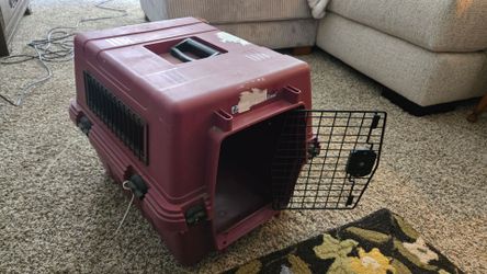 Cat carrier