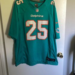 Nike On Field Dolphins #25 Howard Jersey