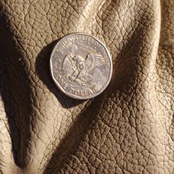Not Sure Of The Coin It Does Have Wide Rim To Thin Rim And Not A Clue What That Is On The Eagle