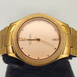 Skagen Denmark Gold Tone Diamond Accent Stainless Steel Women's Watch SKW2095