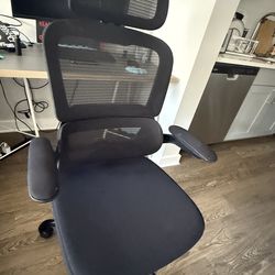Ergonomic Office Chair, used less than 2 months