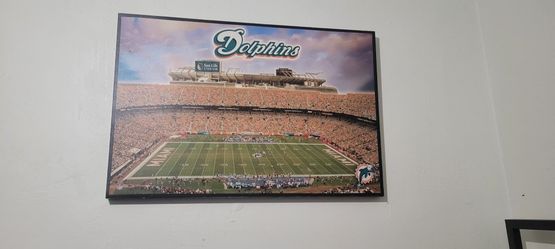 Miami Dolphins Canvas