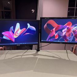 Dual Asus 24” Widescreen Full HD Computer Monitor Set