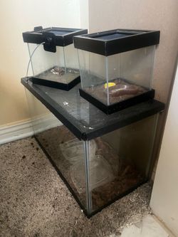 Reptile tank