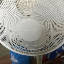 Fan