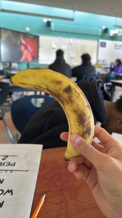 anthonys banana