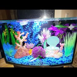 Beautiful Fish Aquarium For Sale