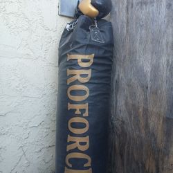 Boxing Punching Bag