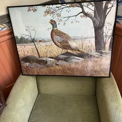 Beautiful Country Pheasant Original Print Framed Wall Art