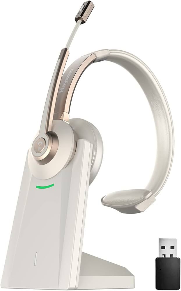 Hoyzem WIRELESS HEADSET WITH MICROPHONE *CHARGING DOCK *USB DONGLE $29.99