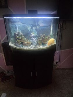 Fish tank and stand 36 Gallons