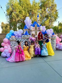 Disney Castle Backdrop