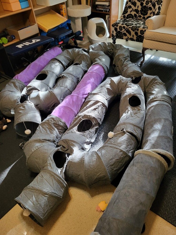 Fun Cat Tunnels
