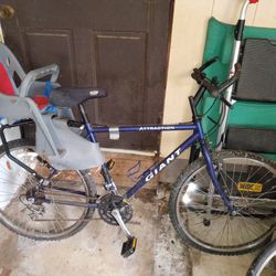 Bike With Child Seat