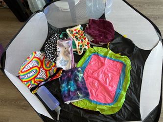 Free- Guinea pig stuff