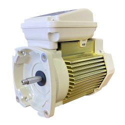 Pentair Wisperflo 2hp Single Speed Motor 