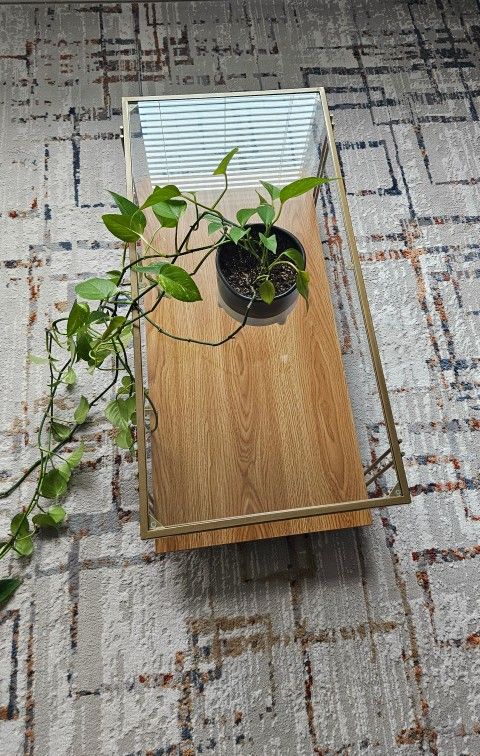 Tempered Glass Coffee Table