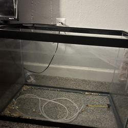 20 Gallon Tall Tank No Lid 