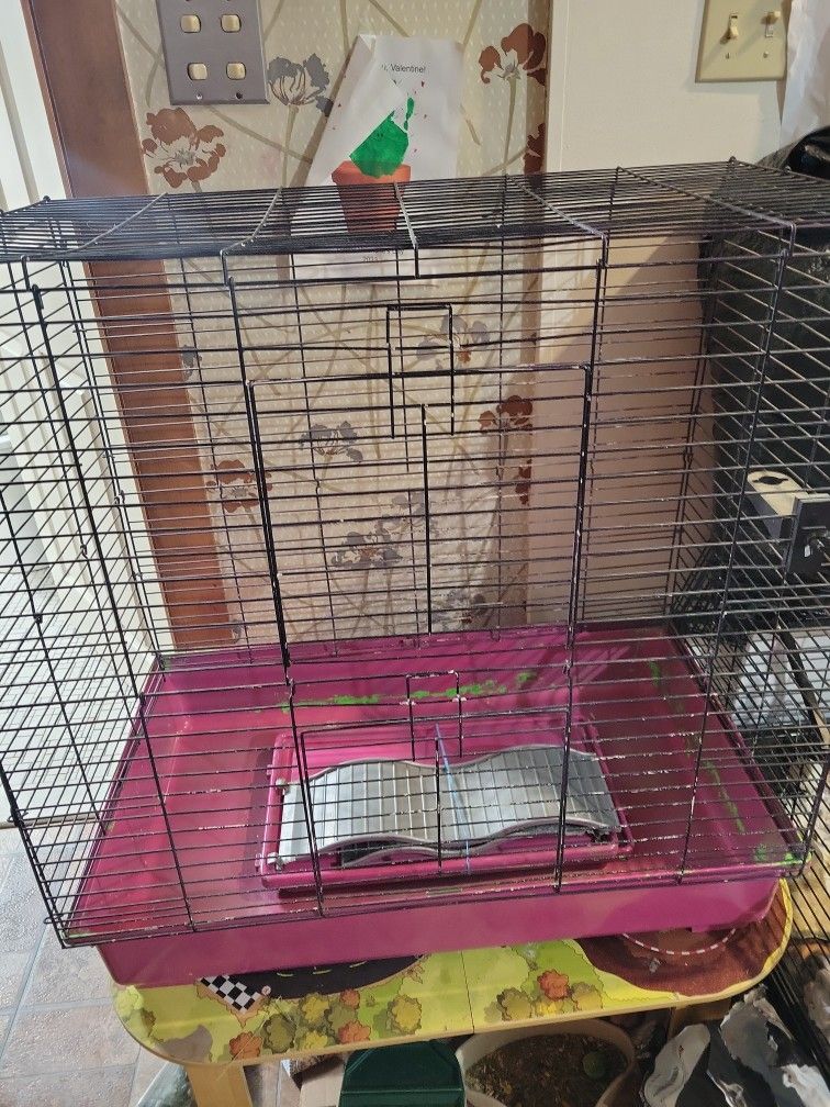 Guinea Pig cage. 2 floors 30x30