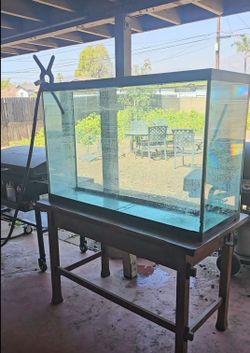 110 gal aquarium