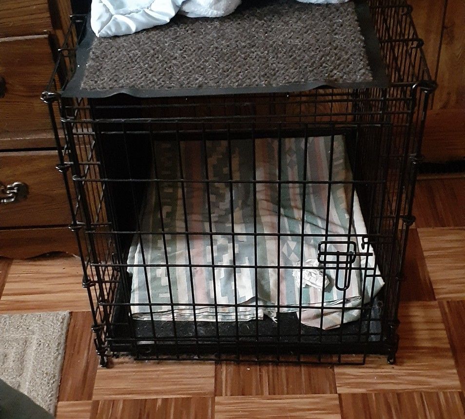 Dog Kennel