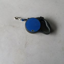 Dog Leashs. 7 Dollars Each