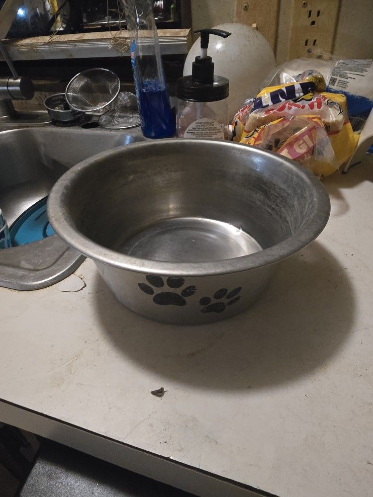 Dog Bowl