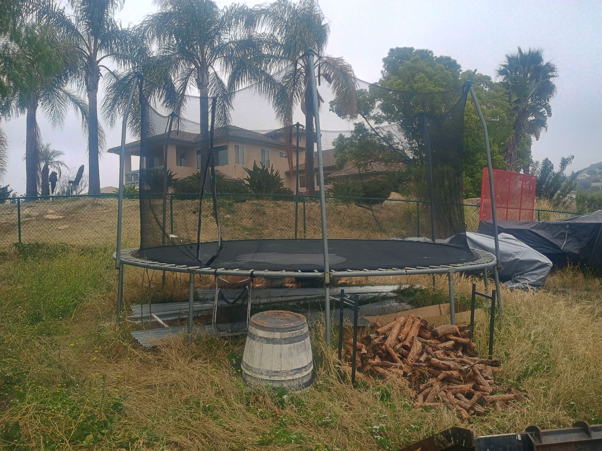 Free trampoline!!!!!!