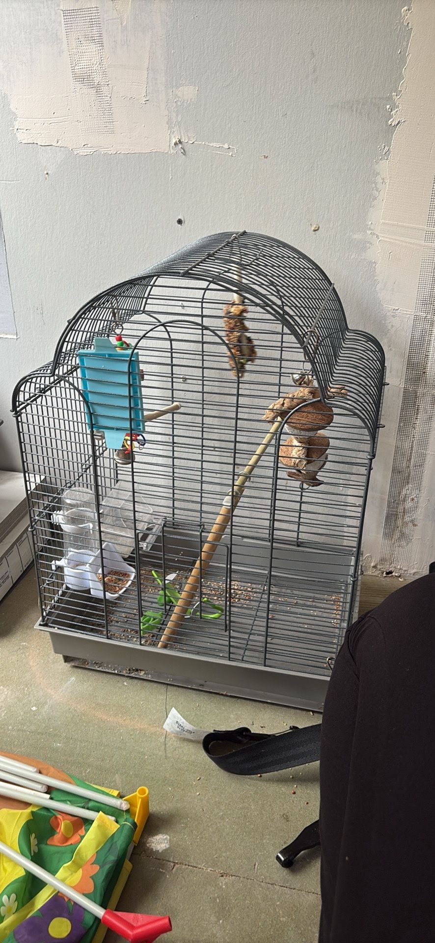 Bird Cage 