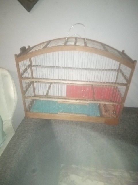 Bird Cage