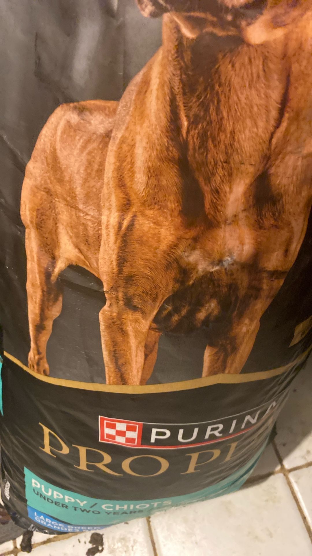 Dog Food