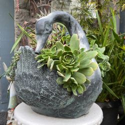 Heavy Cement Goose Pot With Succulents