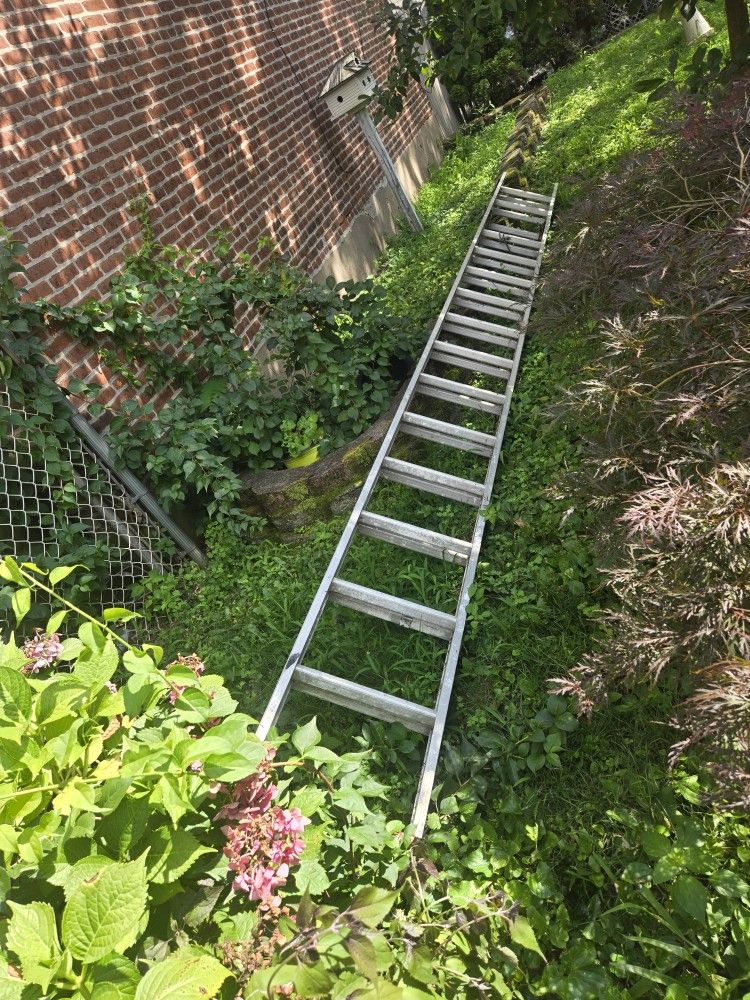 Long Ladder