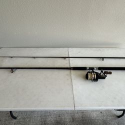 Heavy Action Shakespeare Sigma Graphite Fishing Rod