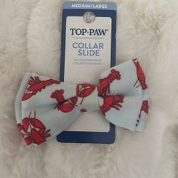 Dog Collar Slide 