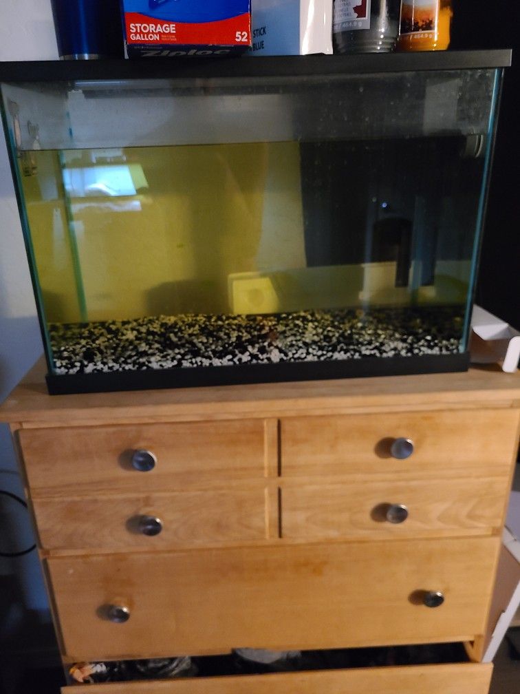 20 Gal Fish Tank