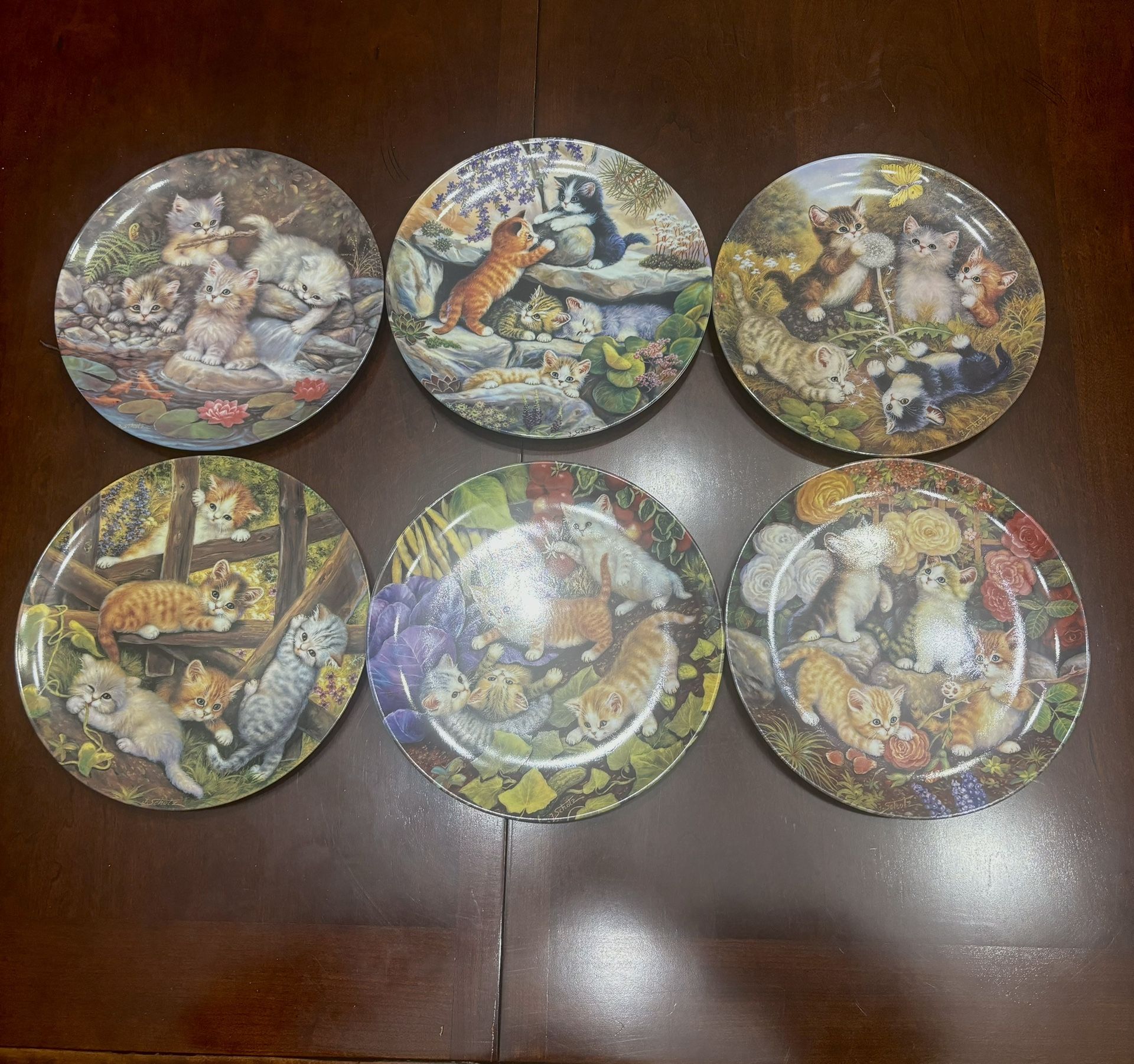 Cat Plates