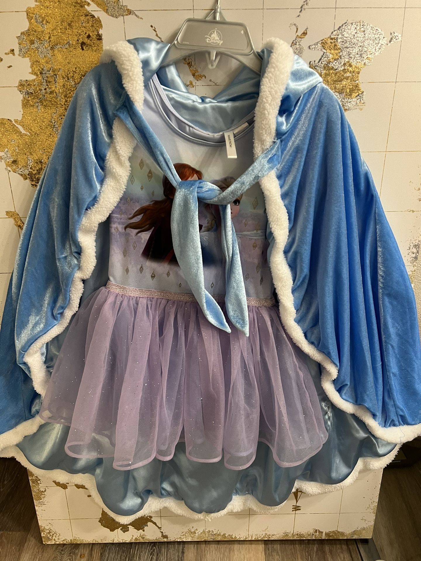 Frozen dress and cape 