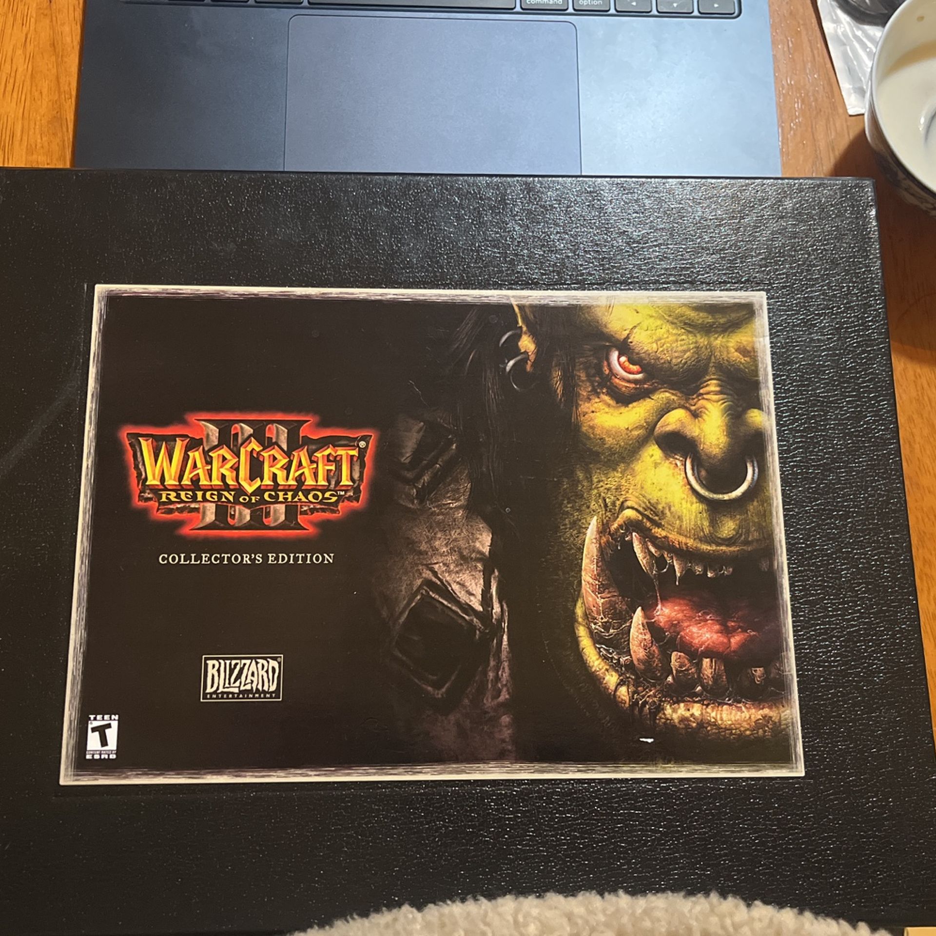 Warcraft reign Of Chaos 