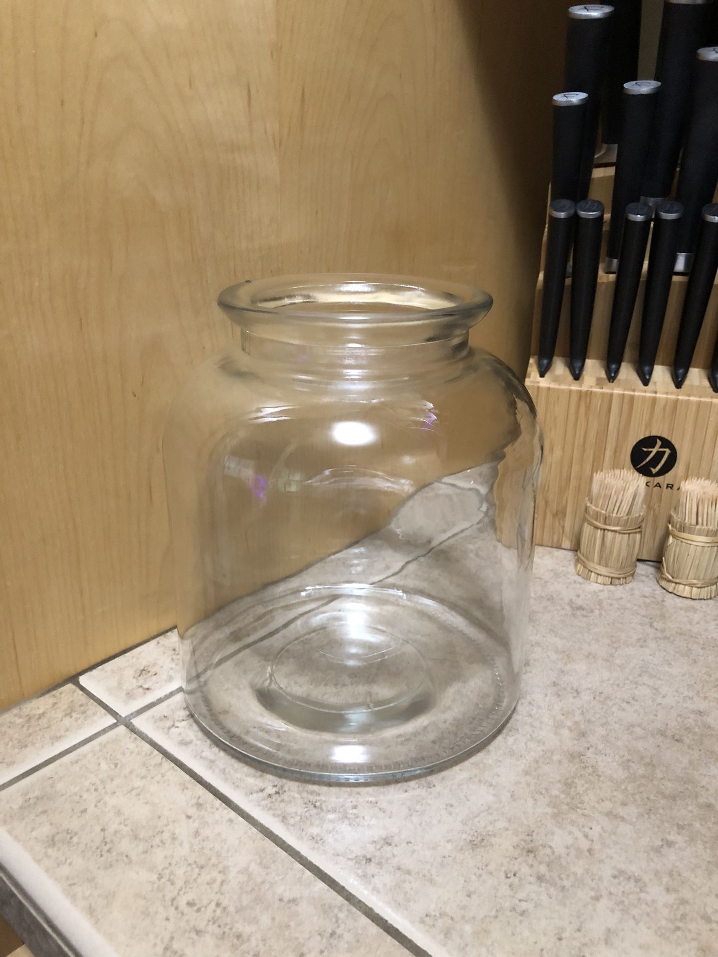 Glass jar/container/terrarium