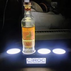Bottle Light 