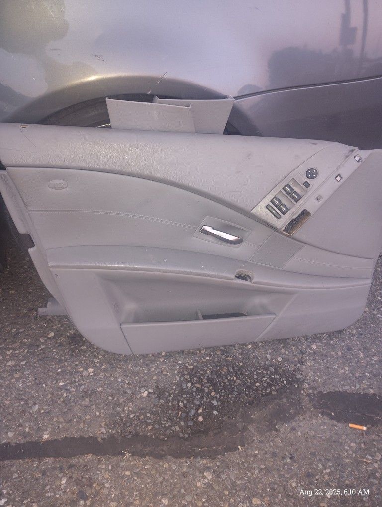 2004-2010 BMW Drivers Door Panel