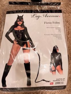 Catwoman Halloween costume