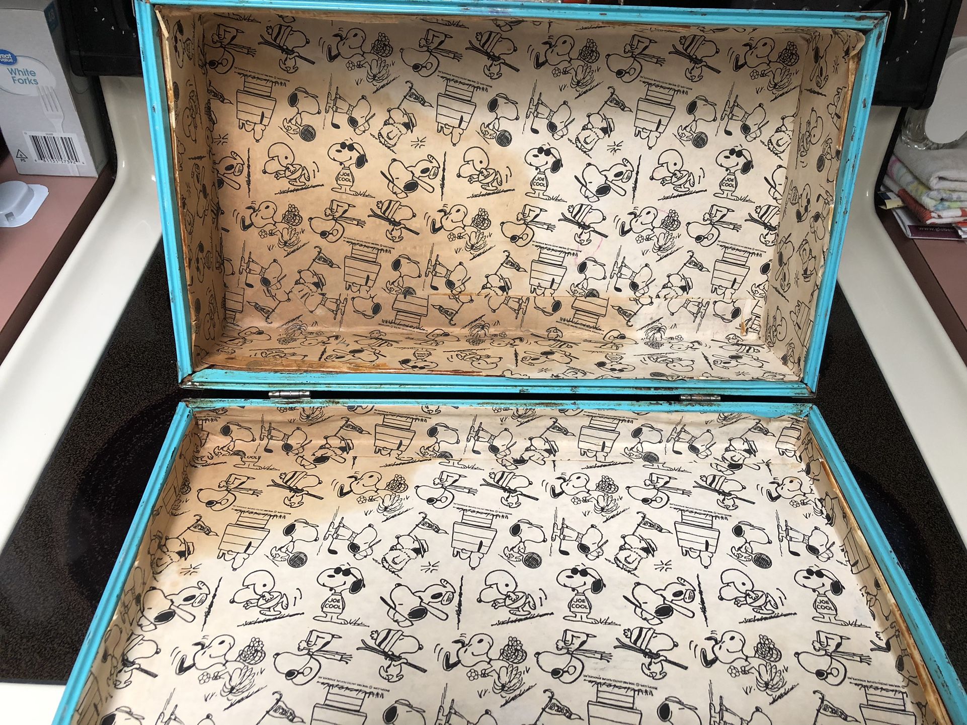 Peanuts Vintage Metal Suitcase Snoopy, Charlie Brown 1966 for Sale